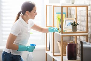 House Clean Services 